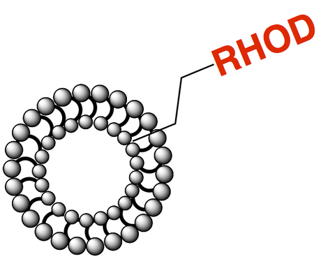 AY Fuse-it Rhodamine